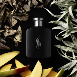 POLO BLACK EDT